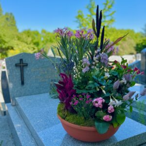 COUPE DE PLANTES